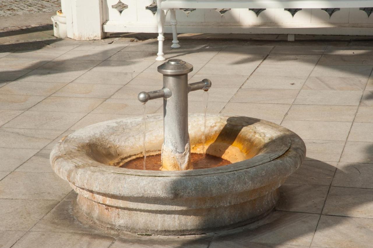 Spa Moser Apartments Karlovy Vary Kültér fotó